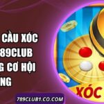Cách Bắt Cầu Xóc Đĩa